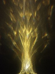 Der Geist des Apfelbaums